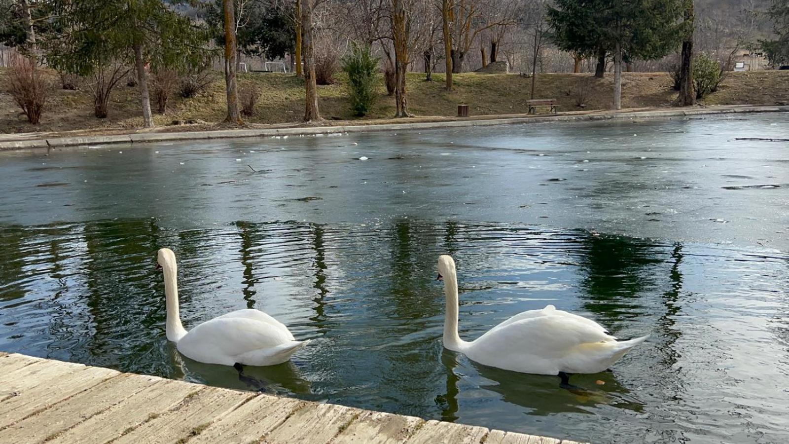 Apartament Del Llac Osséja Екстериор снимка